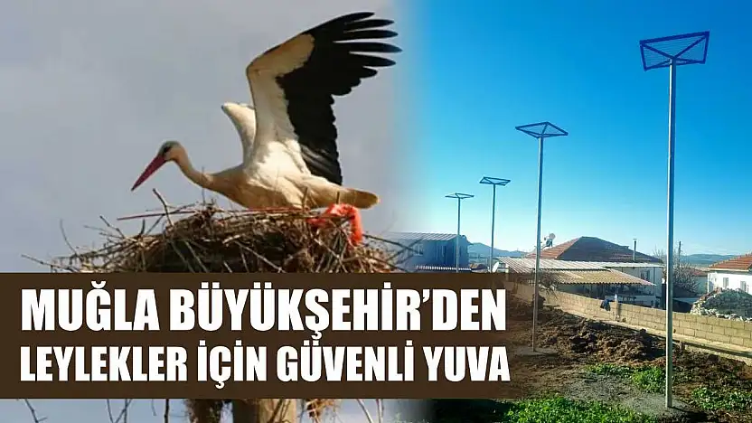 Muğla Büyükşehir'den Leylekler İçin Güvenli Yuva
