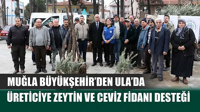 Muğla Büyükşehir'den Ula'da Üreticiye Zeytin ve Ceviz Fidanı Desteği