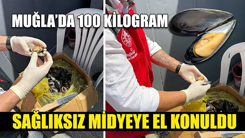 Muğla'da 100 Kilogram sağlıksız midyeye el konuldu