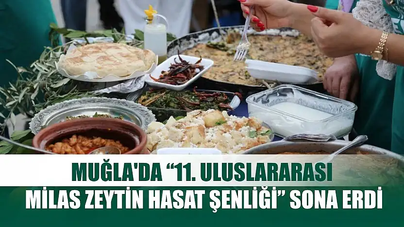 Muğla'da '11. Uluslararası Milas Zeytin Hasat Şenliği' sona erdi