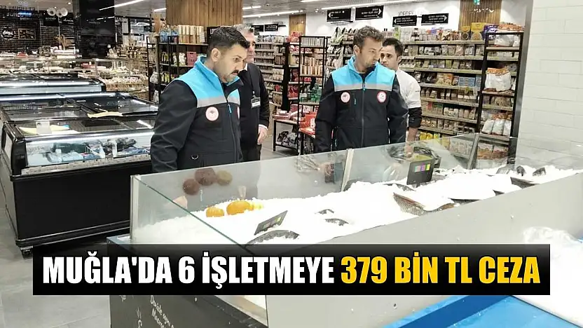 Muğla'da 6 işletmeye 379 bin TL ceza