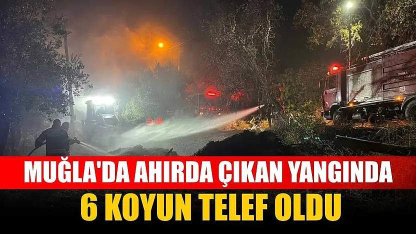 Muğla'da ahırda çıkan yangında 6 koyun telef oldu