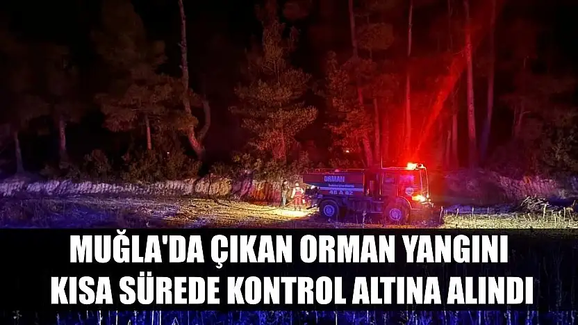 Muğla'da çıkan orman yangını kısa sürede kontrol altına alındı