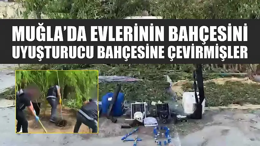 Muğla'da evlerinin bahçesini uyuşturucu bahçesine çevirmişler