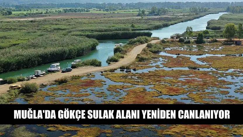 Muğla'da Gökçe Sulak alanı yeniden canlanıyor