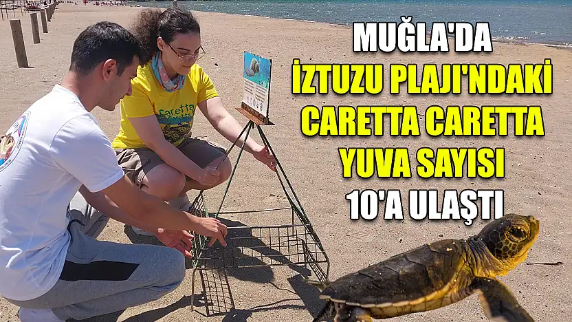 Muğla'da İztuzu Plajı'ndaki caretta caretta yuva sayısı 10'a ulaştı