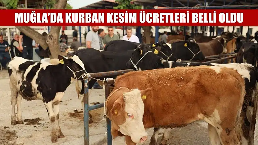 Muğla'da kurban kesim ücretleri belli oldu