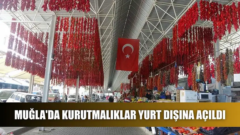 Muğla'da kurutmalıklar yurt dışına açıldı