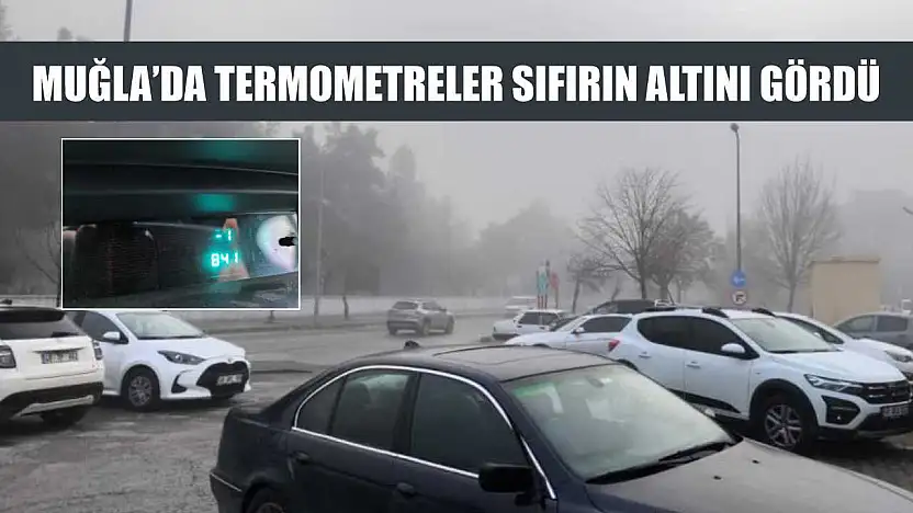 Muğla'da termometreler sıfırın altını gördü