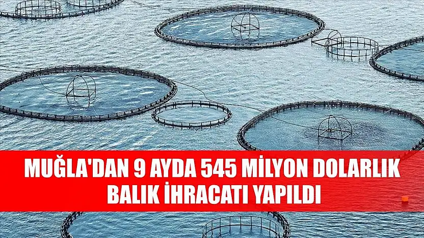Muğla'dan 9 ayda 545 milyon dolarlık balık ihracatı yapıldı