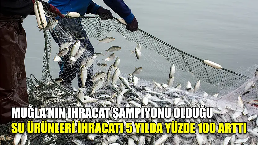 Muğla'nın ihracat şampiyonu olduğu su ürünleri ihracatı 5 yılda yüzde 100 arttı