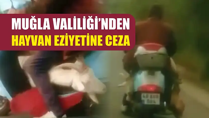 Muğla Valiliği'nden hayvan eziyetine ceza