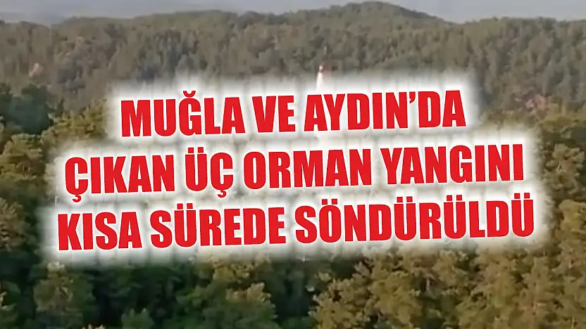 Muğla ve Aydın'da çıkan üç orman yangını kısa sürede söndürüldü