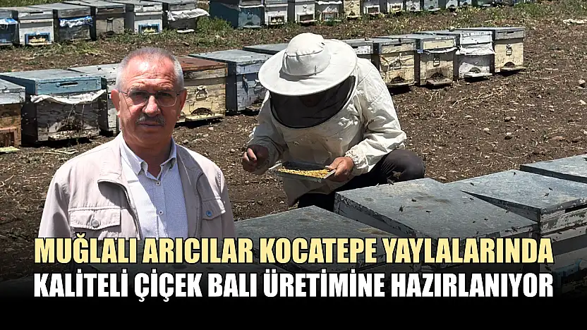 Muğlalı Arıcılar Kocatepe Yaylalarında Kaliteli Çiçek Balı Üretimine Hazırlanıyor