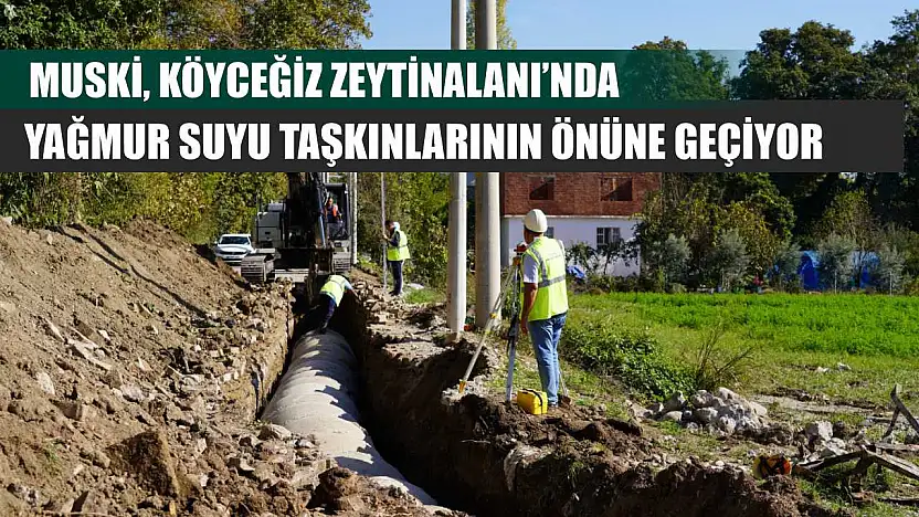 MUSKİ, Köyceğiz Zeytinalanı'nda Yağmur Suyu Taşkınlarının Önüne Geçiyor
