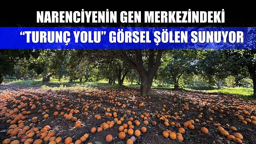 Narenciyenin gen merkezindeki 'Turunç Yolu' görsel şölen sunuyor