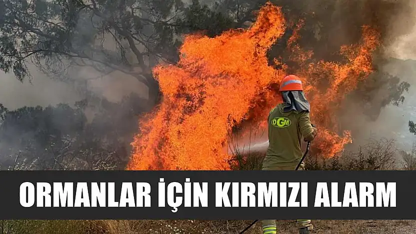 Ormanlar için kırmızı alarm