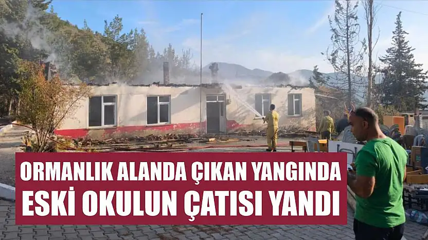 Ormanlık alanda çıkan yangında eski okulun çatısı yandı