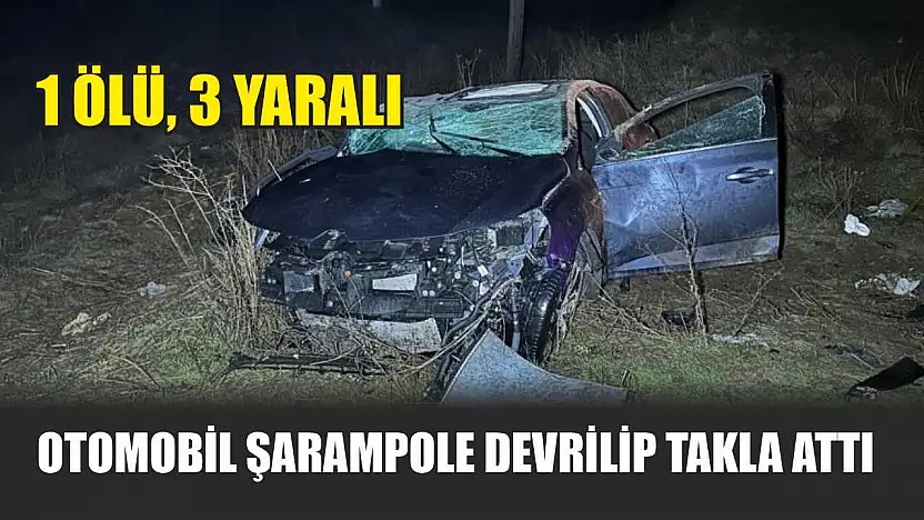 Otomobil şarampole devrilip takla attı: 1 ölü, 3 yaralı
