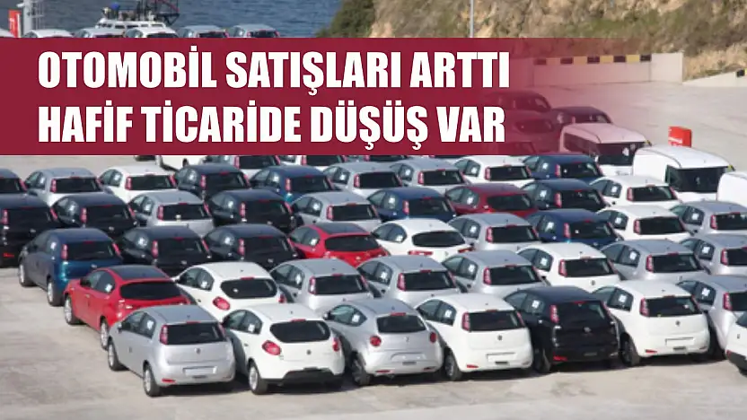 Otomobil satışları arttı, hafif ticaride düşüş var