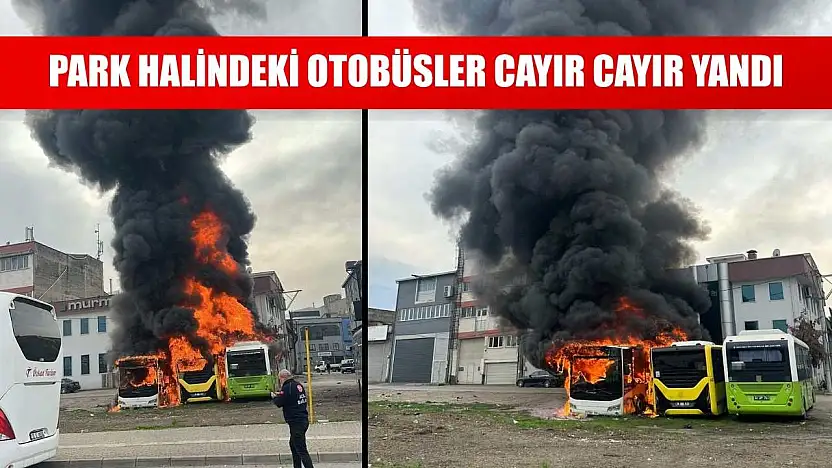Park halindeki otobüsler cayır cayır yandı