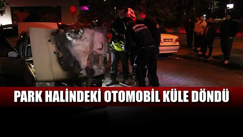 Park halindeki otomobil küle döndü