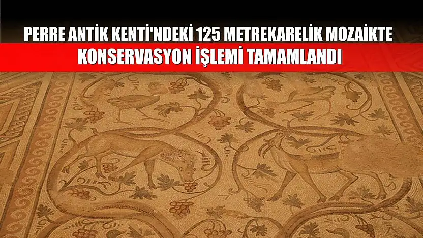 Perre Antik Kenti'ndeki 125 metrekarelik mozaikte konservasyon işlemi tamamlandı