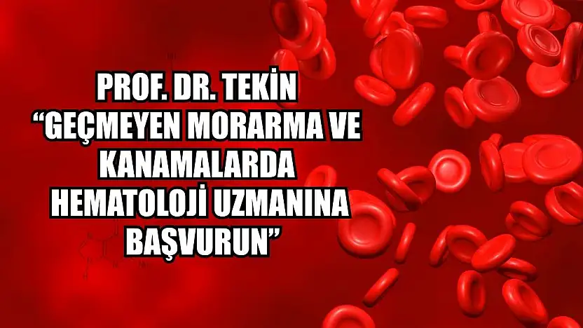Prof. Dr. Tekin: 'Geçmeyen morarma ve kanamalarda hematoloji uzmanına başvurun'