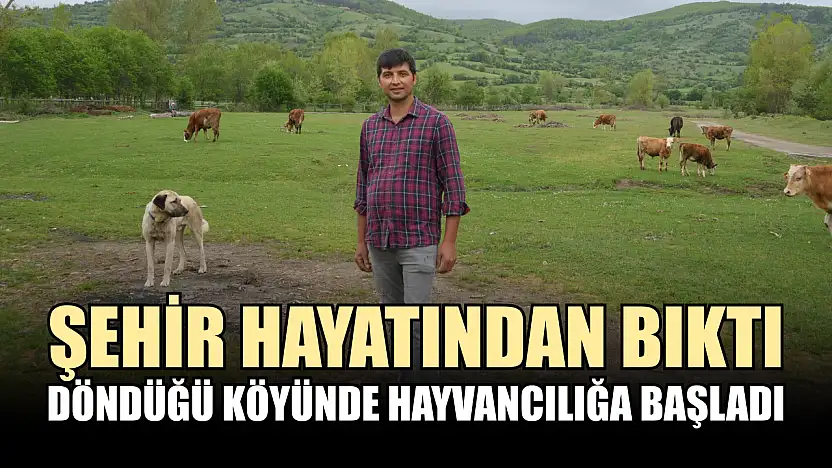 Şehir hayatından bıktı, döndüğü köyünde hayvancılığa başladı
