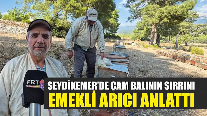 Seydikemer'de Çam Balının Sırrını Emekli Arıcı Anlattı