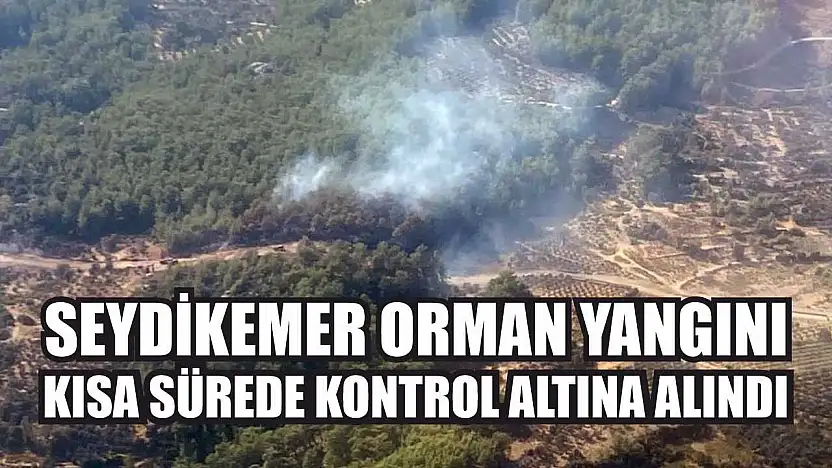 Seydikemer orman yangını kısa sürede kontrol altına alındı
