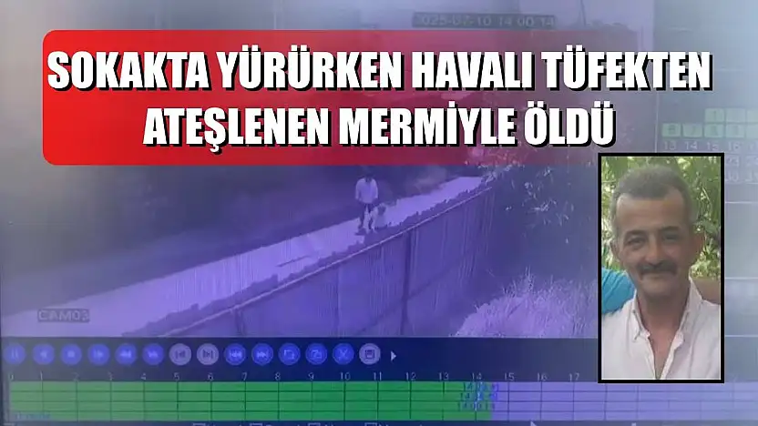 Sokakta yürürken havalı tüfekten ateşlenen mermiyle öldü