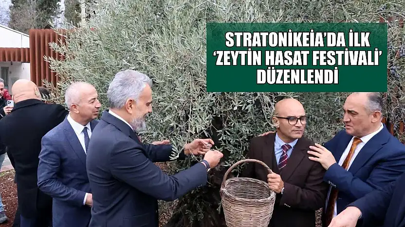 Stratonikeia'da ilk 'Zeytin Hasat Festivali' düzenlendi