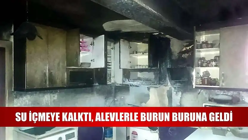 Su içmeye kalktı, alevlerle burun buruna geldi