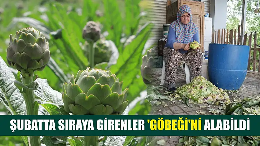 Şubatta sıraya girenler 'göbeği'ni alabildi