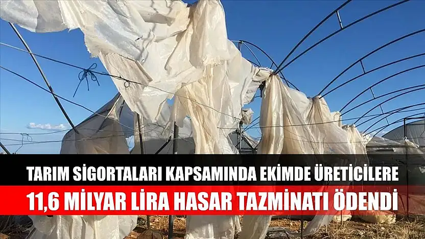 Tarım sigortaları kapsamında ekimde üreticilere 11,6 milyar lira hasar tazminatı ödendi