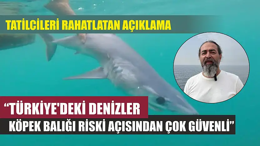 Tatilcileri rahatlatan açıklama: 'Türkiye'deki denizler, köpek balığı riski açısından çok güvenli'