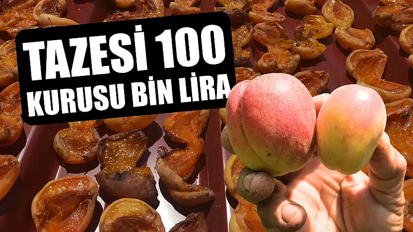 Tazesi 100 kurusu bin lira