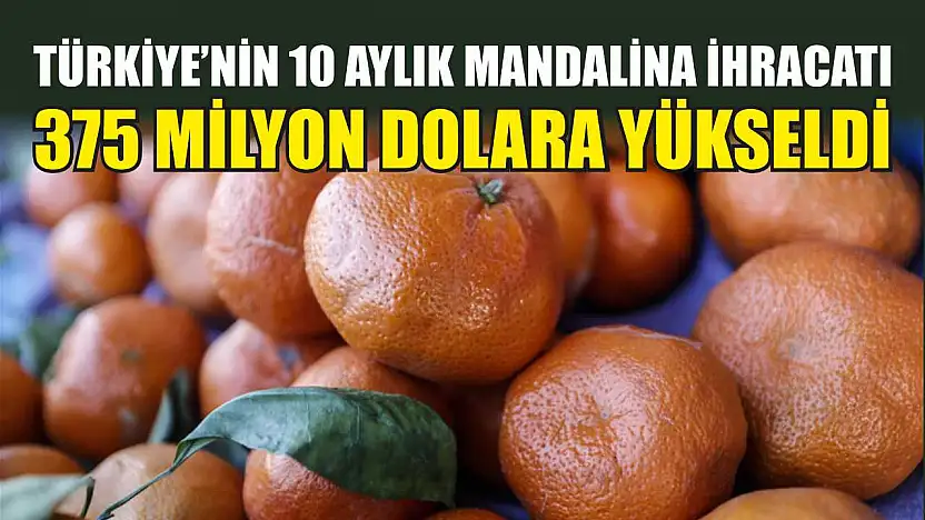 Türkiye'nin 10 aylık mandalina ihracatı 375 milyon dolara yükseldi