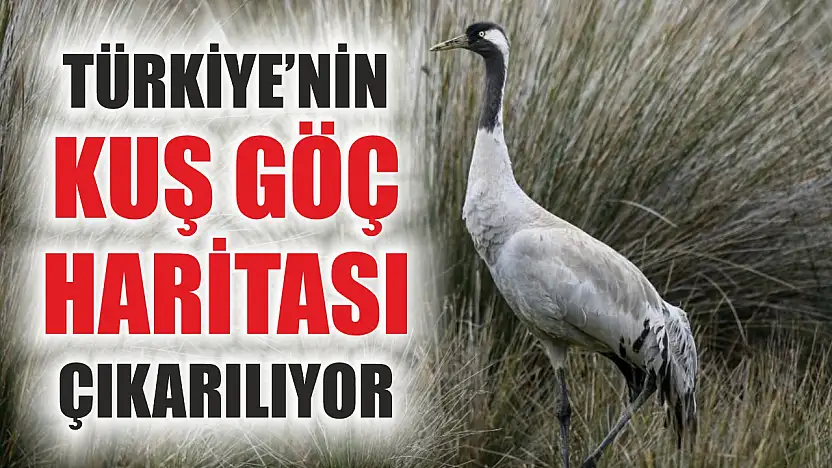 Türkiye'nin Kuş Göç Haritası Çıkarılıyor