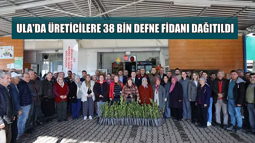 Ula'da üreticilere 38 bin defne fidanı dağıtıldı
