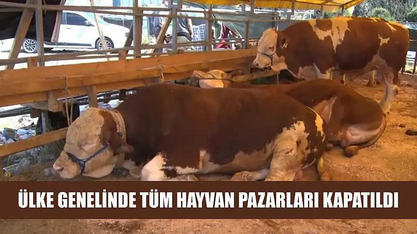 Ülke genelinde tüm hayvan pazarları kapatıldı