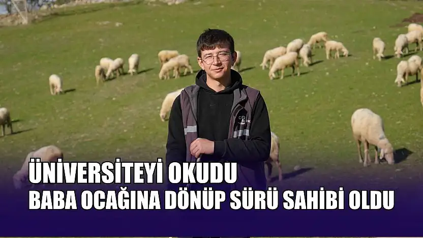 Üniversiteyi okudu, baba ocağına dönüp sürü sahibi oldu