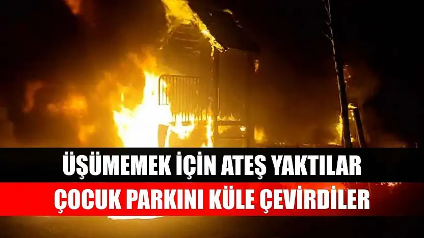 Üşümemek için ateş yaktılar, çocuk parkını küle çevirdiler