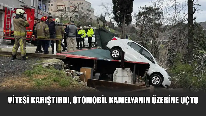 Vitesi karıştırdı, otomobil kamelyanın üzerine uçtu