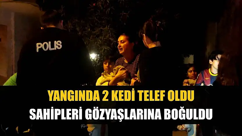 Yangında 2 kedi telef oldu, sahipleri gözyaşlarına boğuldu
