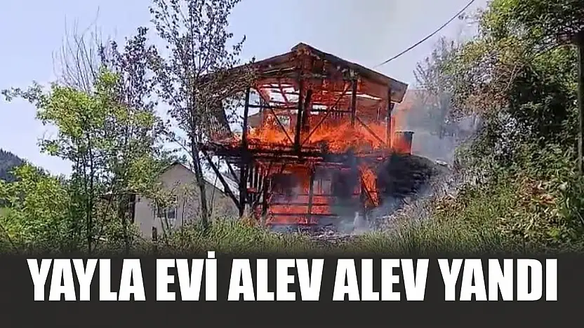 Yayla evi alev alev yandı