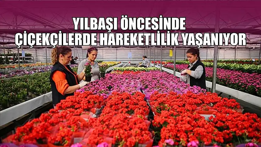 Yılbaşı öncesinde çiçekçilerde hareketlilik yaşanıyor