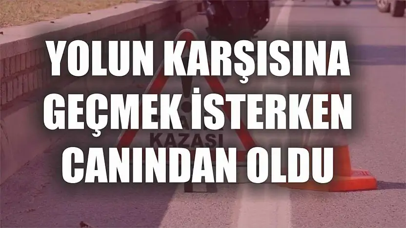 Yolun karşısına geçmek isterken canından oldu