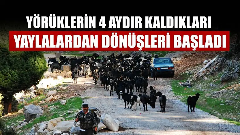 Yörüklerin 4 aydır kaldıkları yaylalardan dönüşleri başladı